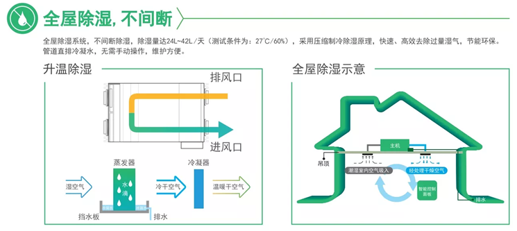 百朗除濕新風(fēng)一體機(jī) 制冷除濕 全屋除濕不間斷